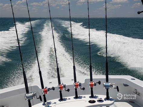 The Best Saltwater Fishing Rods: An Angler’s Guide for 2024