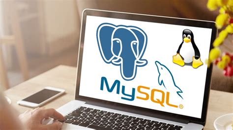 Aprende A Configurar Y Optimizar Bases De Datos En Linux Con Mysql Y