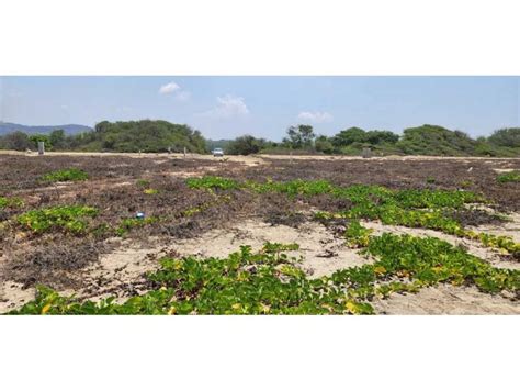 Venta Lote De Terreno En San Pedro Mixtepec Distrito 22 Oaxaca