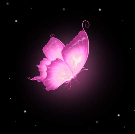 pink butterfly y2k widget with stars | Pink butterfly, Pink wallpaper ...