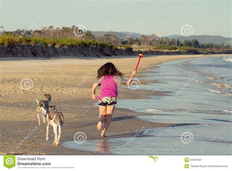 Muchacha Que Juega Con Los Perros Imagen De Archivo Imagen De Hermoso