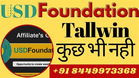 Usd Foundation Passive Income Source Usdfoundation Plan Kya Hai