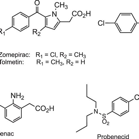 Activation Of Carboxylic Acids To AG And Acyl CoA Thioester Conjugates