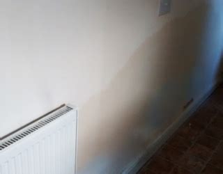 Damp On Walls Causes And Treatments Peter Cox