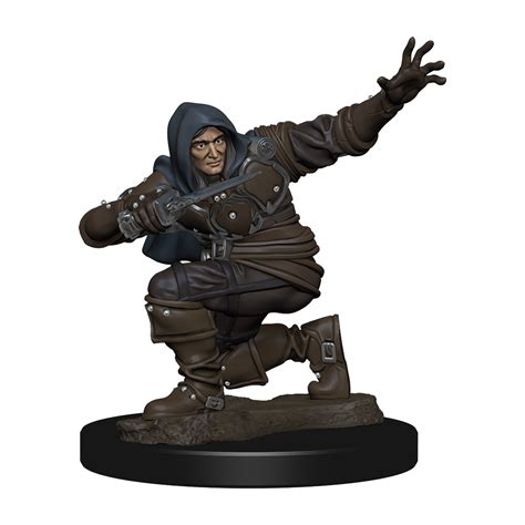 Paizo Pathfinder Battles Premium Painted Figure Human Rogue Male