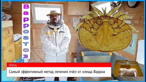 Самое эффективное средство от клеща Варроа Деструктор 2020 - YouTube