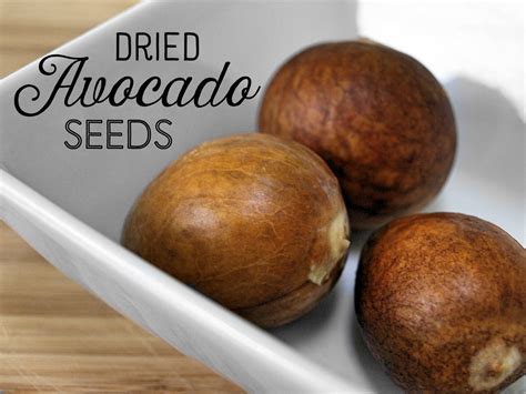 20 Ways to Use Avocado Seeds | ToughNickel