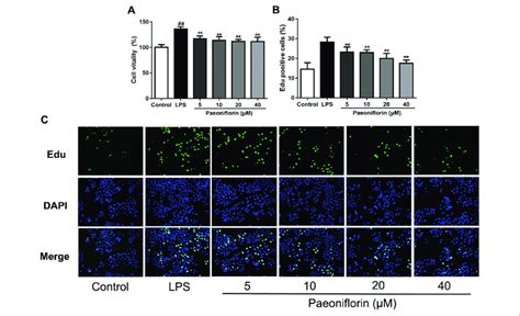 Paeoniflorin Inhibits HMC Proliferation HMCs Were Treated With LPS