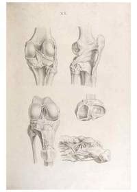 Osteographia Or The Anatomy Of The By Cheselden William Biblio