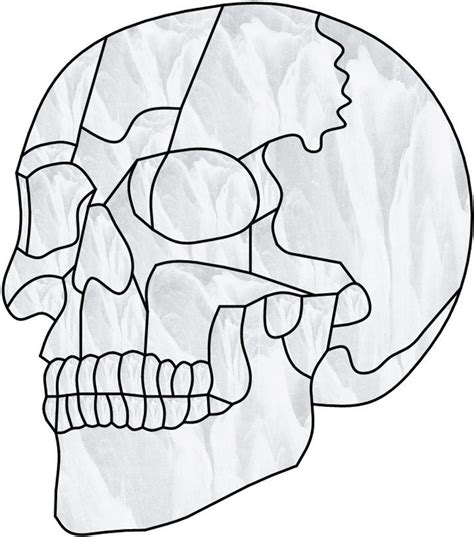 Skull Stained Glass Pattern Etsy