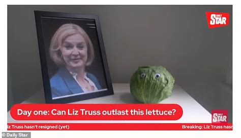 Liz Truss Memes From Her Outlasting A Lettuce To Being Likened To