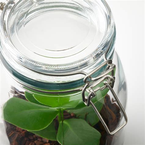 Флорариум, в банке, 1.8 л, различные растения IKEA BLADVERK 304.862.79 ...