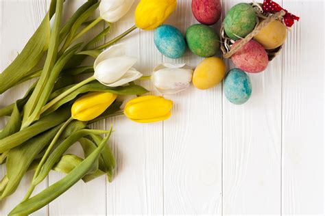 4k 5k Holidays Easter Tulips Primula Wood Planks Eggs Hd