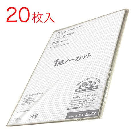 【ソロエルアリーナ】 アスクル ラベルシール マルチプリンタ 下地が透けないラベル ノーカット Ma 500skt 56221 1袋（20