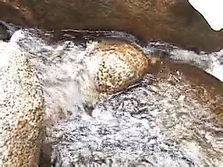 Piss Sex Free European Pissing Porn Video E Xhamster