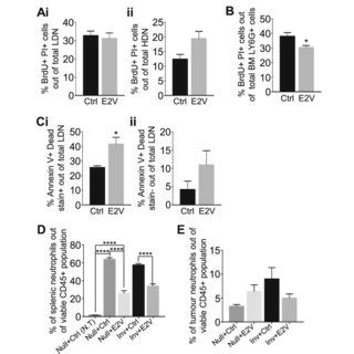 Estrogen Increases The Rigidity Of Mammary Glands In Brca Mutant Mice