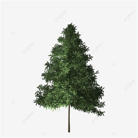 Spruce Christmas Tree Undecorated, Spruce Tree, Christmas Tree, Tree PNG Transparent Clipart ...