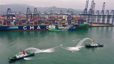 Shenzhen Port Records Container Throughput Of Over 30m Teus Shine News