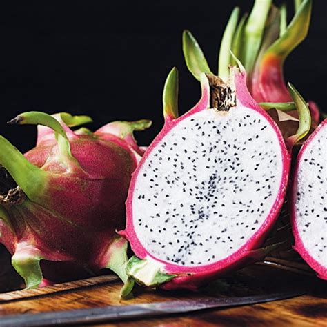 Muda Da Pitaya Vermelha Polpa Branca Produz Em Pouco Tempo Elo