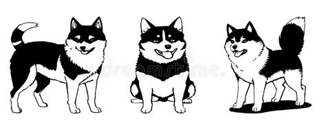 Siberian Husky. Black and White Graphics. Logo Design for Use in ...