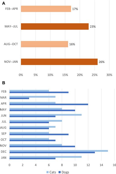 Vet clinics explain exactly how much to euthanize a cat today 3