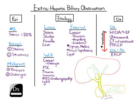 Dx schema – Extra-Hepatic Biliary Obstruction – The Clinical Problem Solvers