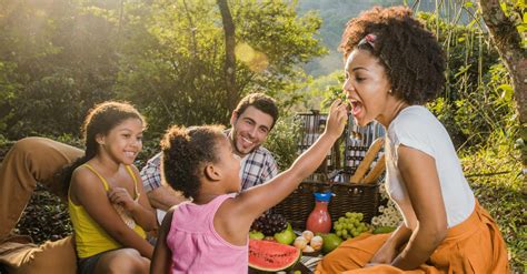 Fam Lia Feliz Quais Os Segredos Para Um Conv Vio Familiar Saud Vel