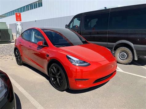 Model Y Bilder Videos Ohne Diskussion Von Teatime Model Y