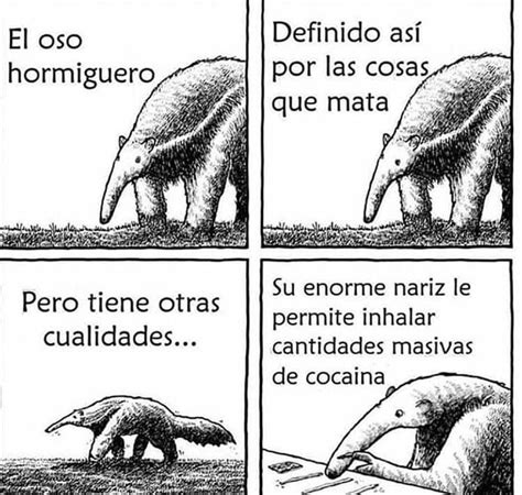Meme Del Oso Hormiguero En Blanco