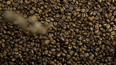 A Roasted Coffee Beans Free Stock Video Footage, Royalty-Free 4K & HD ...