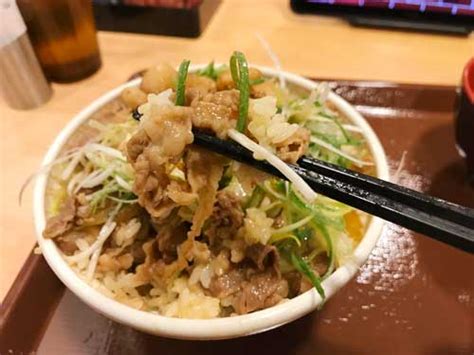 すき家 にんにく白髪ねぎ牛丼 【食レポブログ たべたおし】