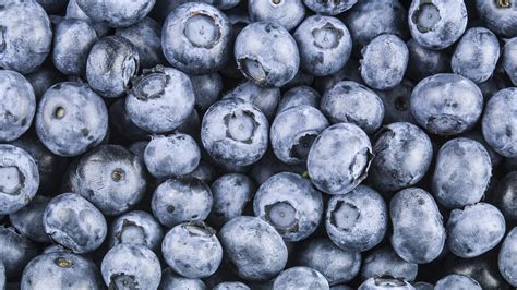 Heidelbeeren Richtig Aufbewahren Das Richtige Lagern Ihre Haltbarkeit