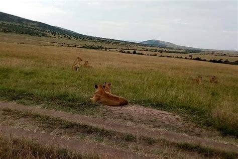 Nairobi Visite Priv E De Jours Dans Les Safaris De Migration Des