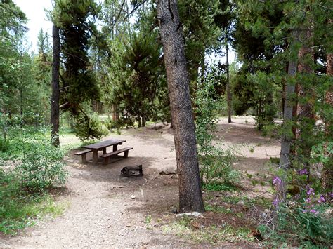 Tabor Campground Camp Out Colorado