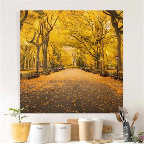 Herbst Im Central Park Leinwandbild Als Quadrat Kaufen