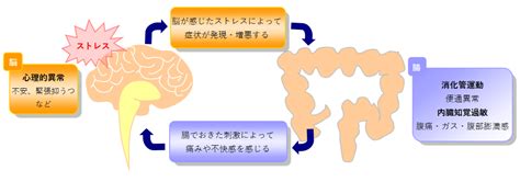 過敏性腸症候群 あそびゴコロ鍼灸整骨院（大阪市西区本町駅）