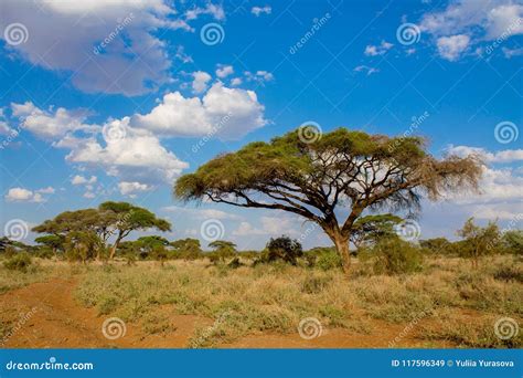 Landscape Of Savannah In Africa. In The Distance You Can See Villages ...