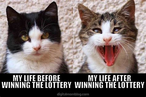 Best Lottery Memes About Winning The Jackpot