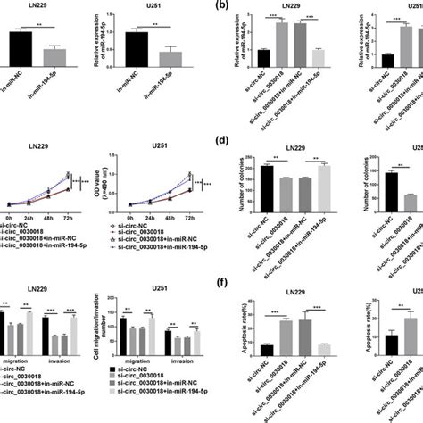 Circ 0030018 Regulated Glioma Progression Via Sponging MiR 194 5p A