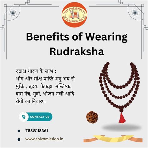 What Are The Benefits Of Wearing Rudraksha By Shivamission