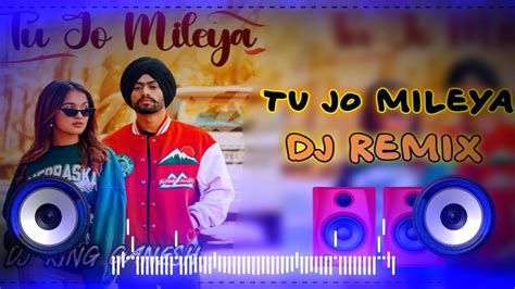 Tu Jo Mileya Dj Remix Hard Bass New Punjabi Song 2024 Tu Jo Mileya Full Version Dj King