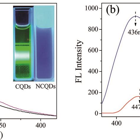 A Uv Vis Absorption Spectra Of Ncqds And Cqds The Inset Shows