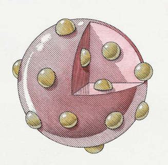 Thomson - Atomic Theory