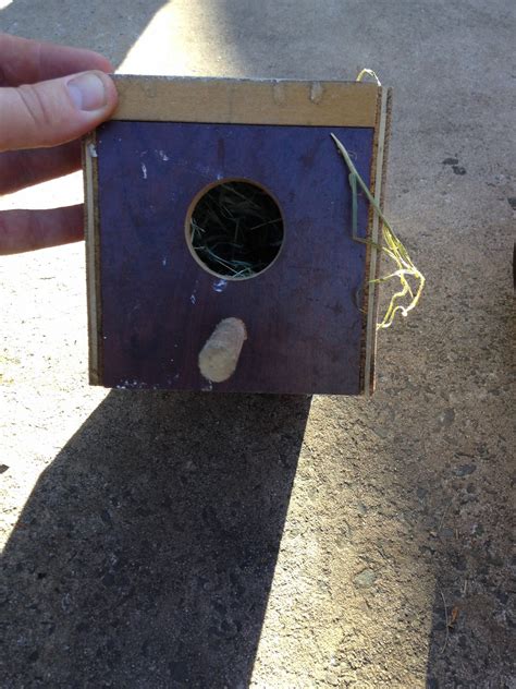 Parrot Breeding Gouldian Finch Nesting Box