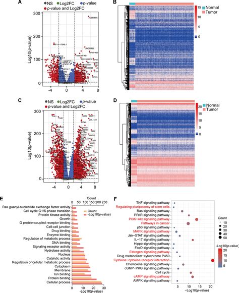 Identification Of Key Modules And Genes Associated With Breast Cancer