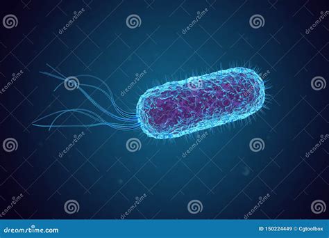 Escherichia Coli E Coli Bacterias Bajo El Microscopio Stock De