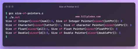 Size Of Pointer In C Language Sillycodes