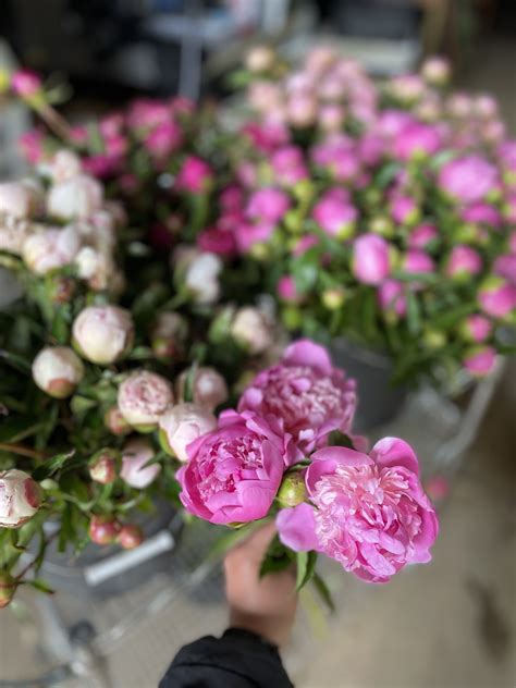 How searching the Gardenview obituaries surprises researchers 23