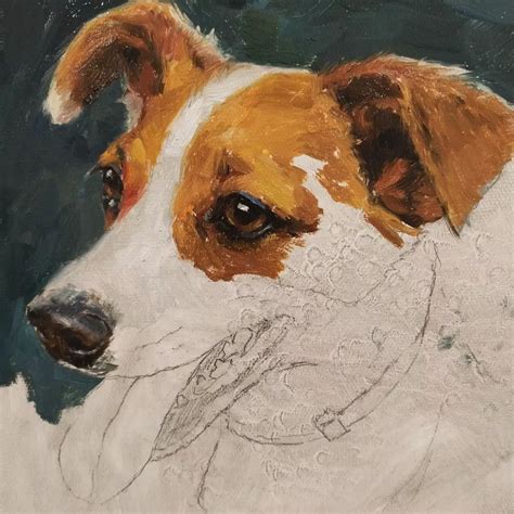 Pet Portraits Oil Painting Petportraitoil • Фото и видео в