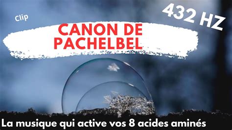 Video Canon Pachelbel Hertz Acides Amin S Musique De Gu Rison